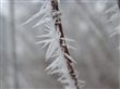 p1130065