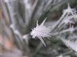 p1130118
