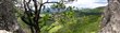 Panoráma